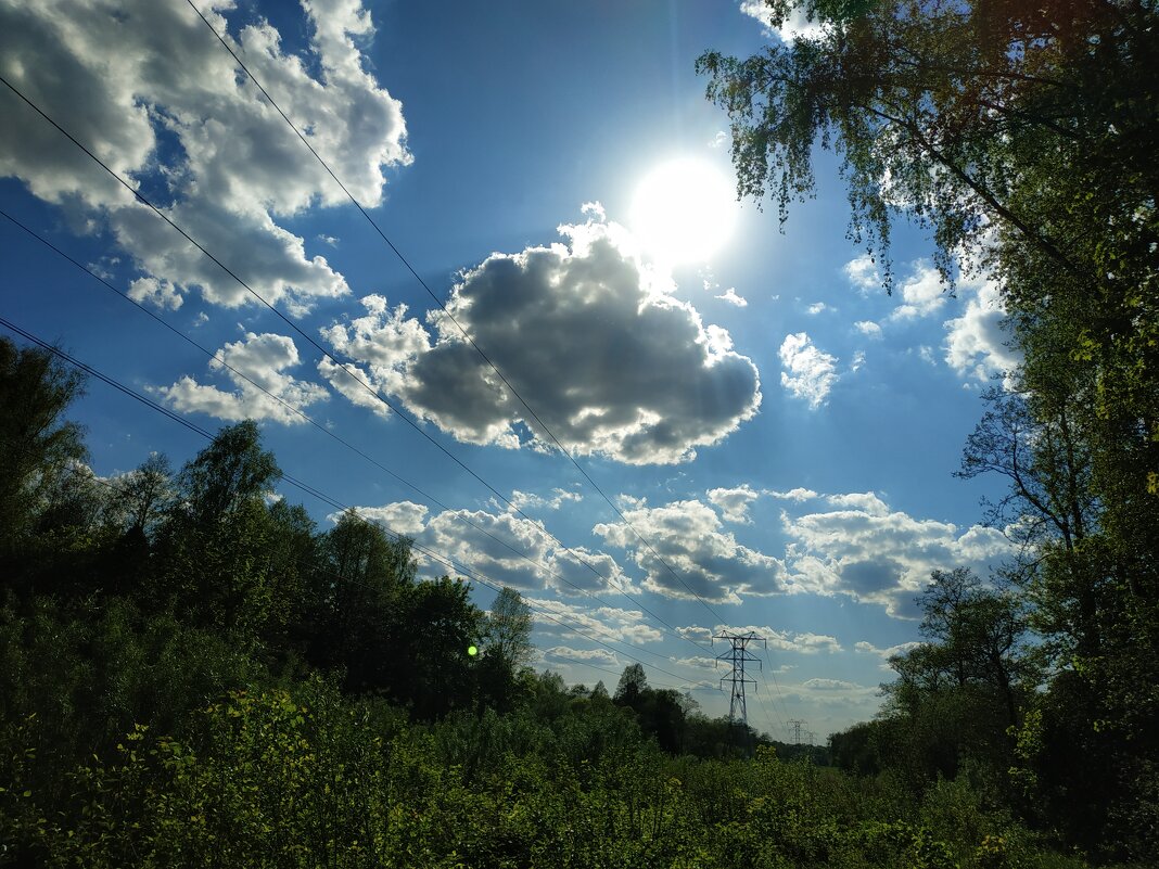 * * * - Андрей Лукьянов * * * - Андрей Лукьянов