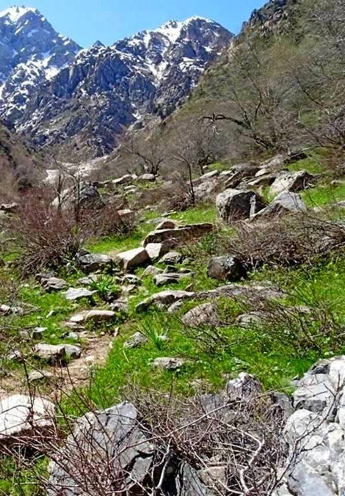 ПО ГОРАМ. - Виктор Осипчук