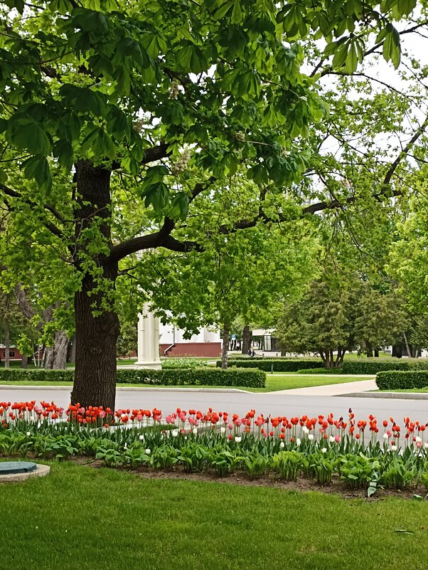 Прогулка на ВДНХ - Pippa Прогулка на ВДНХ - Pippa