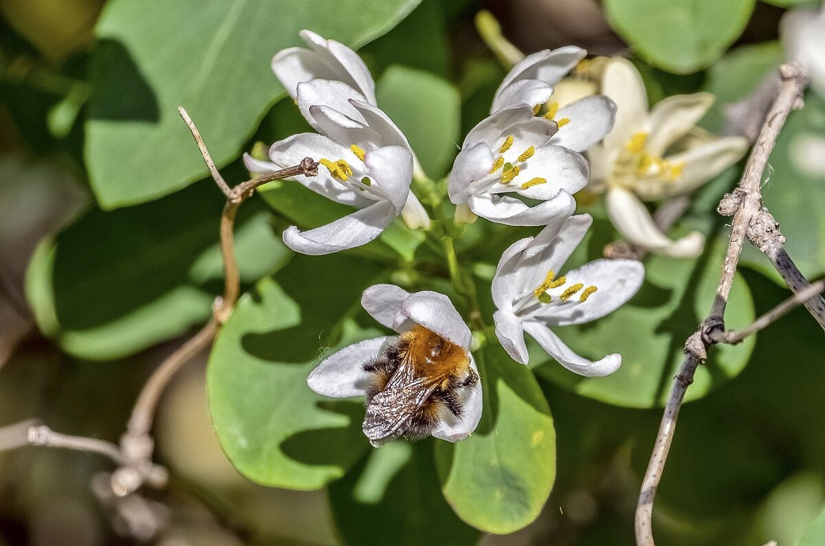 Трудяга - Валерий Иванович Трудяга - Валерий Иванович