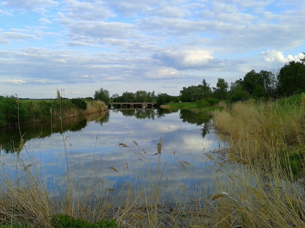 Вечер,местная речка. - сергей ермошкин Вечер,местная речка. - сергей ермошкин
