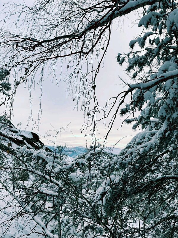 Вспоминаем зиму - Георгиевич Вспоминаем зиму - Георгиевич
