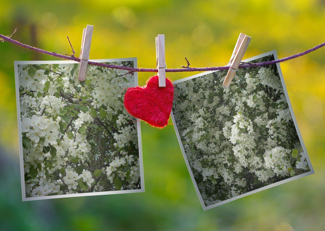 Весна - Alisia La DEMA