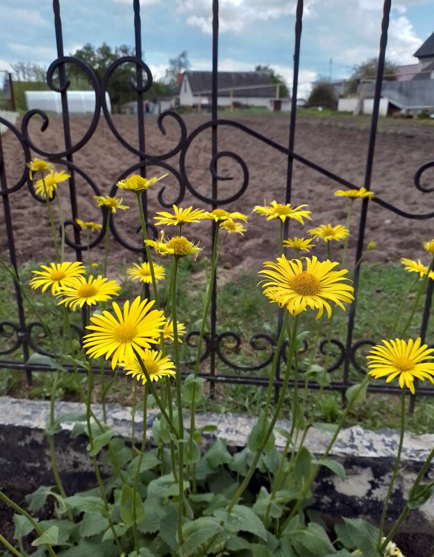 *** - Валентина Береснева