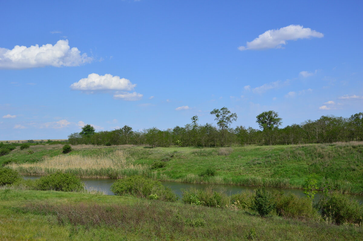 Местная река. - Виктор 