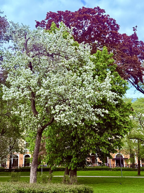 Природа богата на краски) - Iren Brilliance