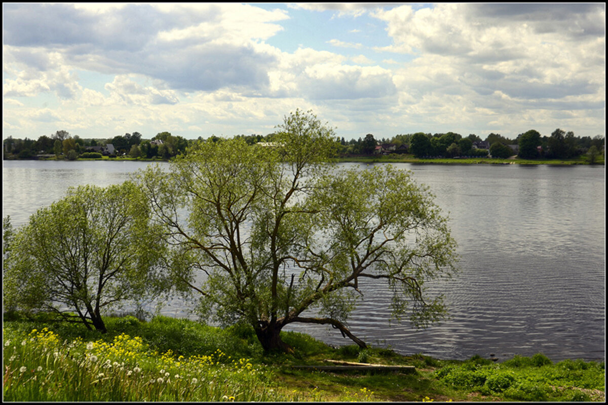 Май на берегу реки - Aleksandr Gal Май на берегу реки - Aleksandr Gal