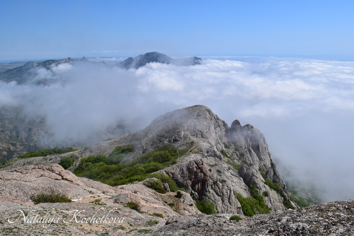 Природа Крыма - Amazing Cosmea