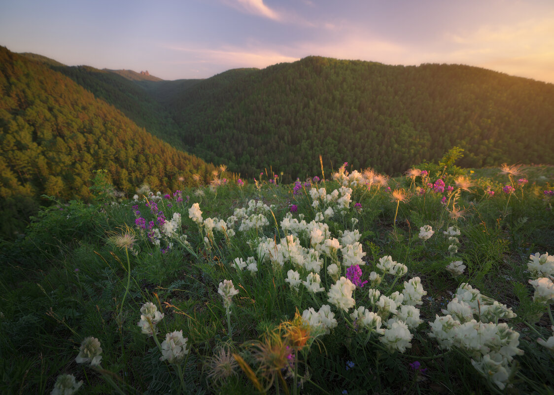* - Александр Иванов * - Александр Иванов