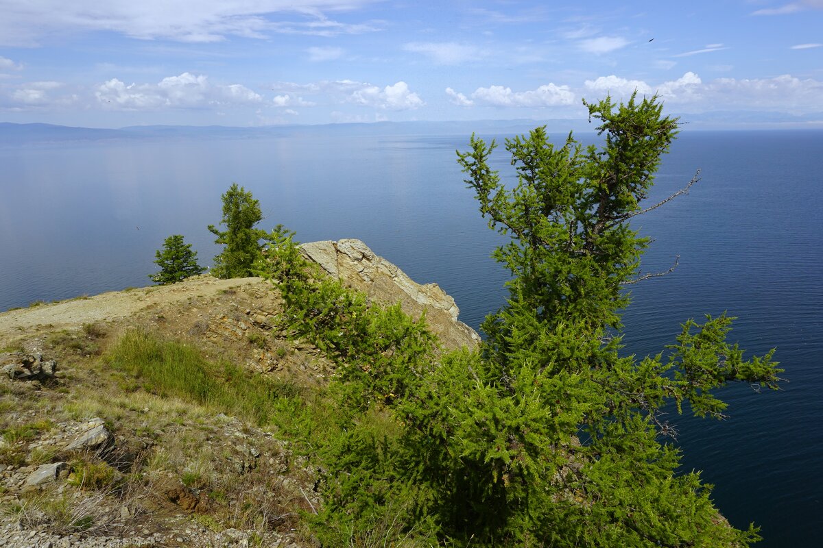 На Хобое - Ольга Чистякова