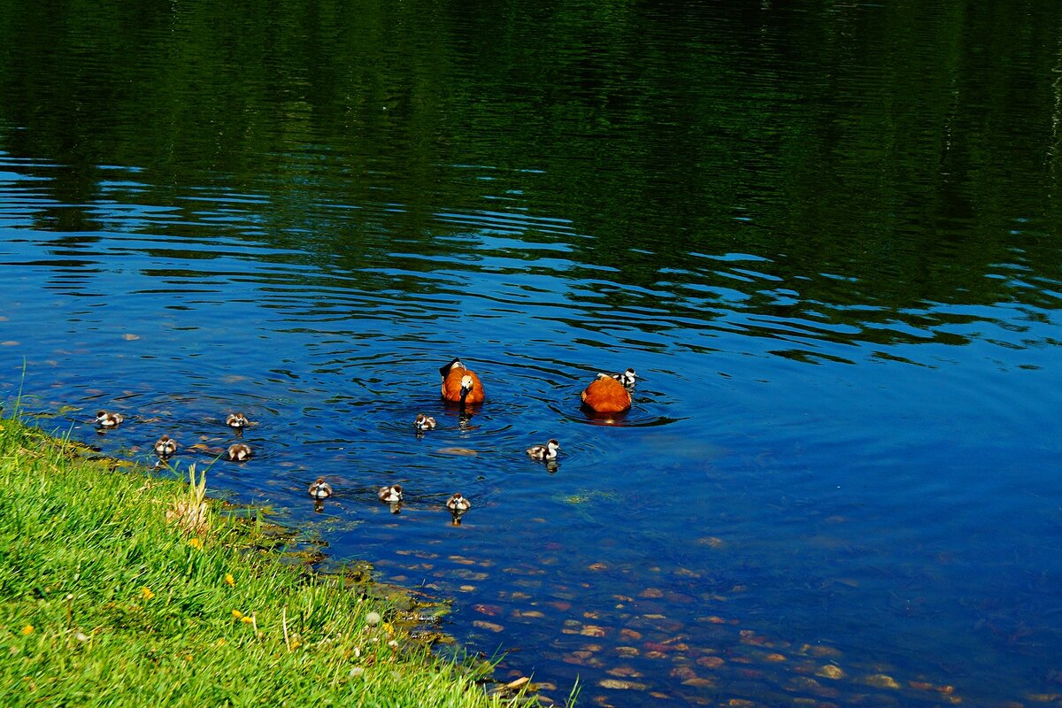 *** - Леонид leo