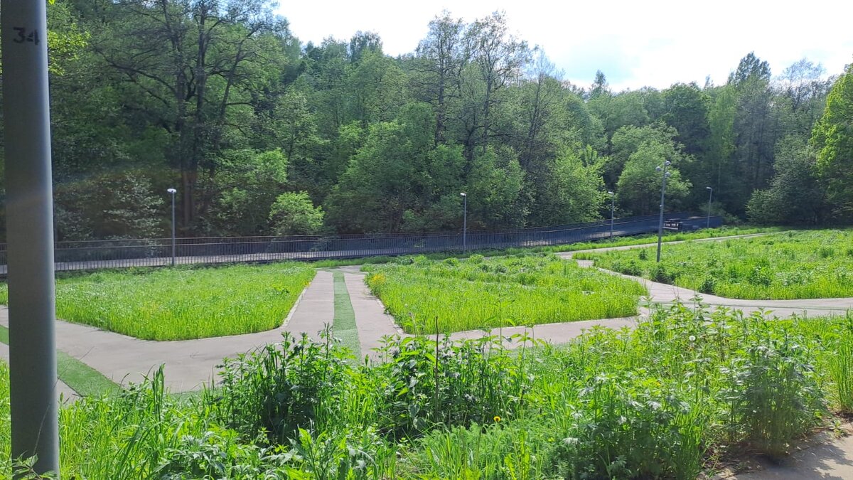 В парке - Ирэн 