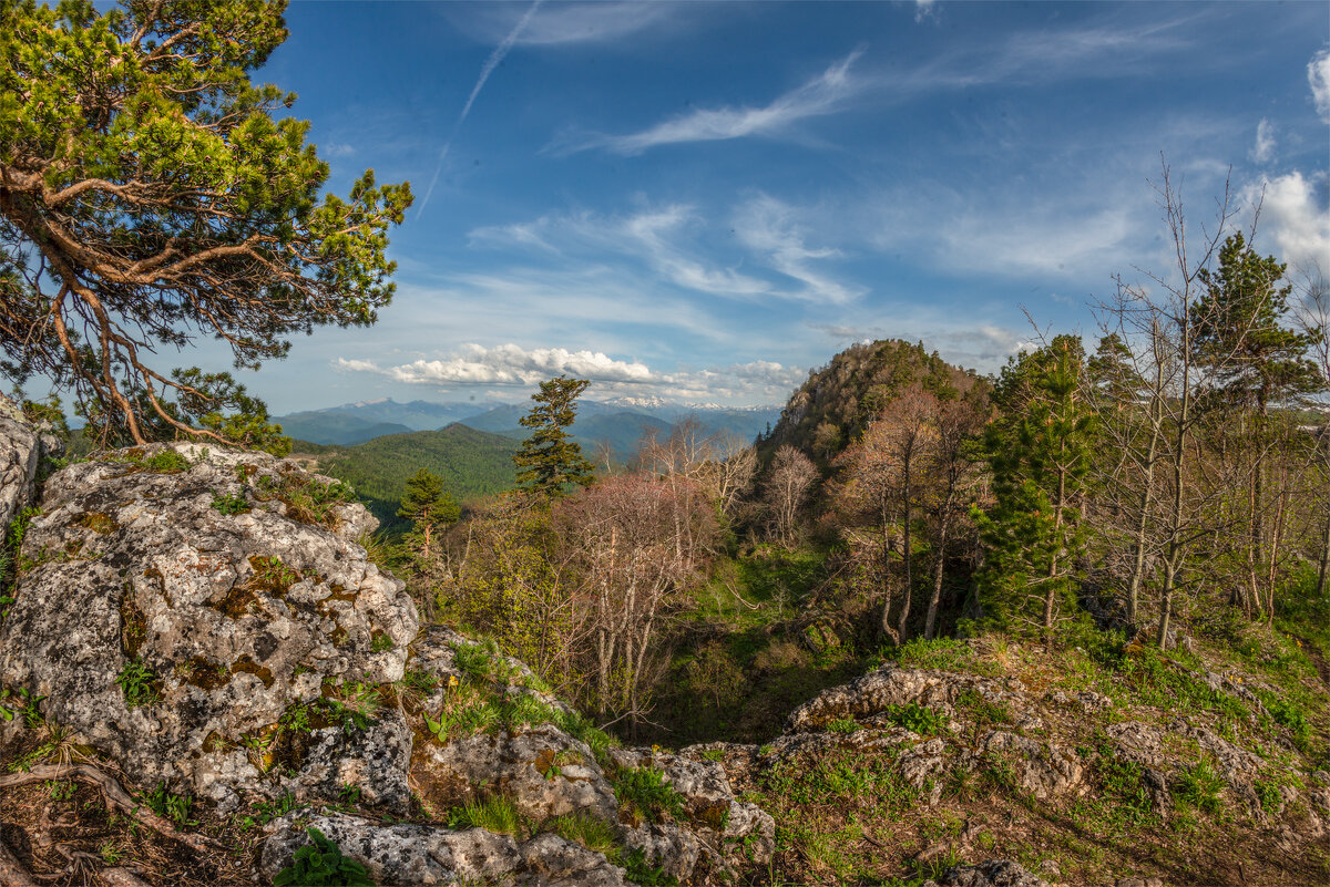 Кавказский заповедник - Аnatoly Gaponenko Кавказский заповедник - Аnatoly Gaponenko