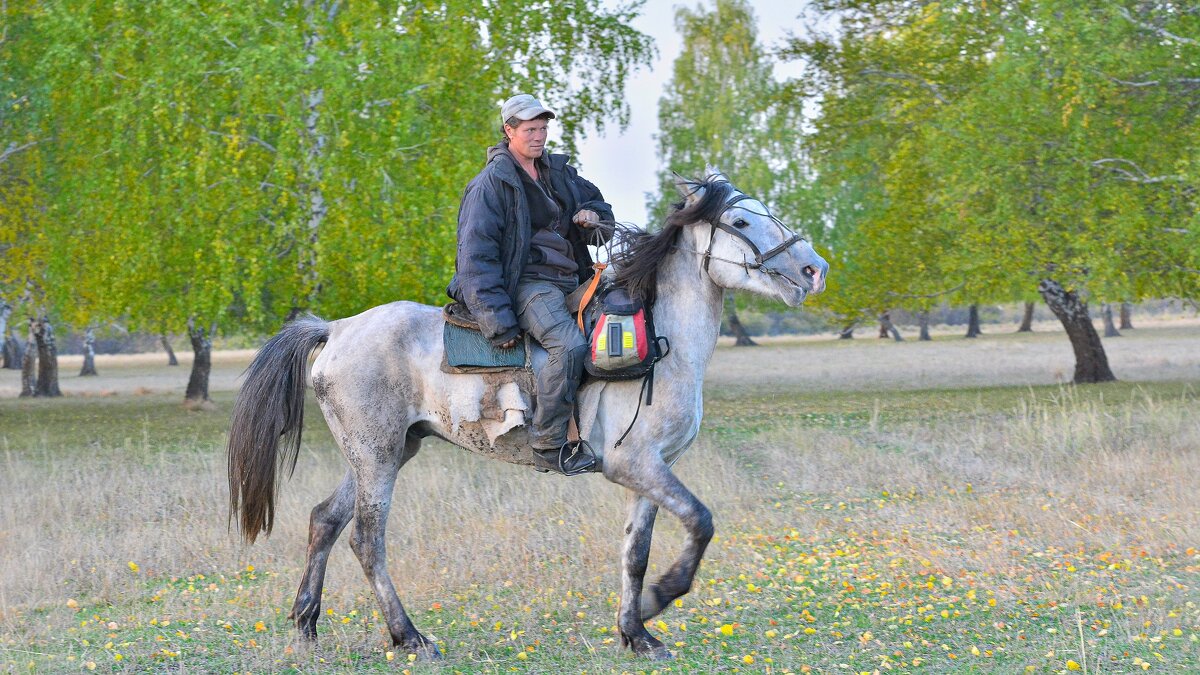 Пастух ! - Maxxx©  