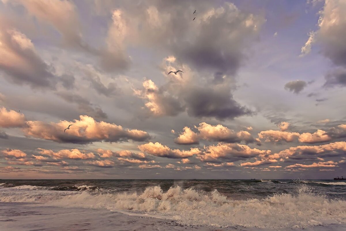 Прибой - Виктор 