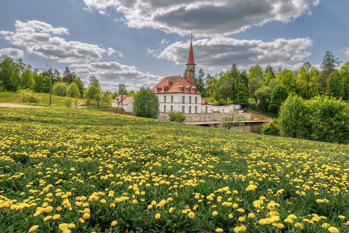 Приорат - Владимир Колесников