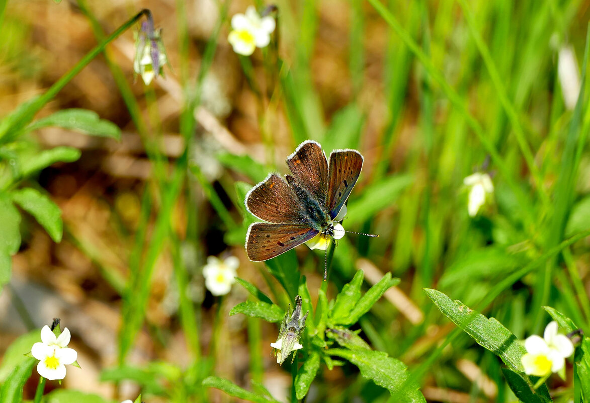 из позавчерашней съёмки  1 - Александр Прокудин