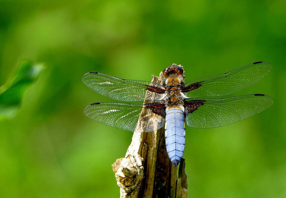 из позавчерашней съёмки 4 - Александр Прокудин