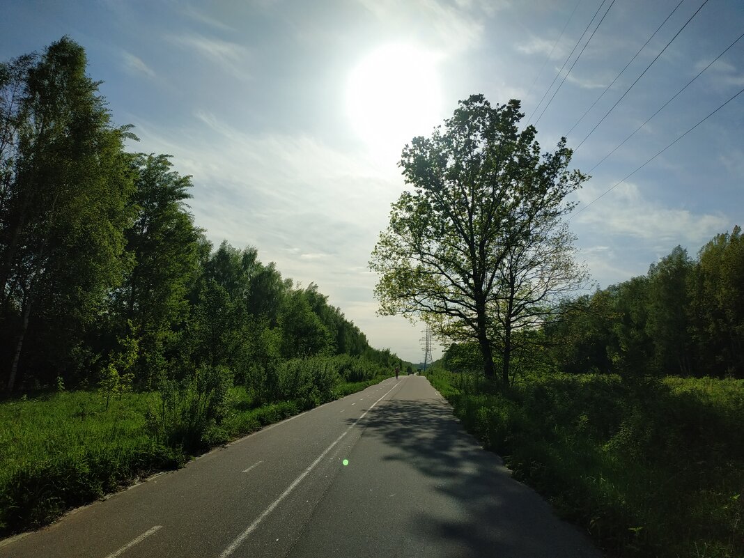 Летние мотивы - Андрей Лукьянов