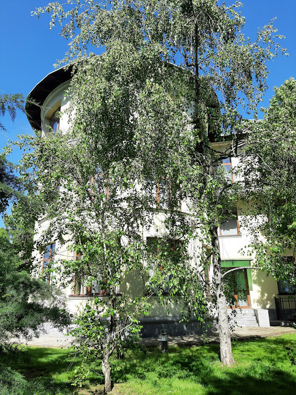 БЕРЁЗКИ - Tata Wolf