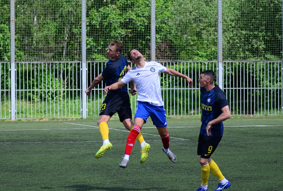 *** - Наталья Вязигина