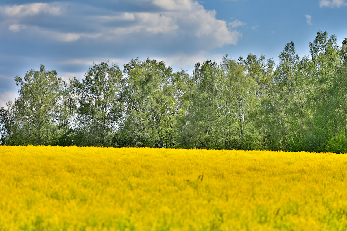 HDR - k-e-r-g-u-d-u DM