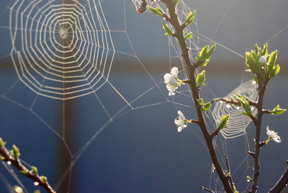 Майские этюды - Галина Ильясова