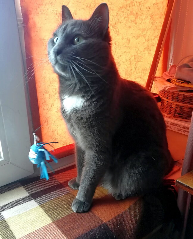 Предвкушение... - Ольга Довженко