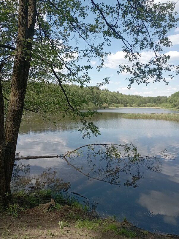 У озера - Елена Семигина