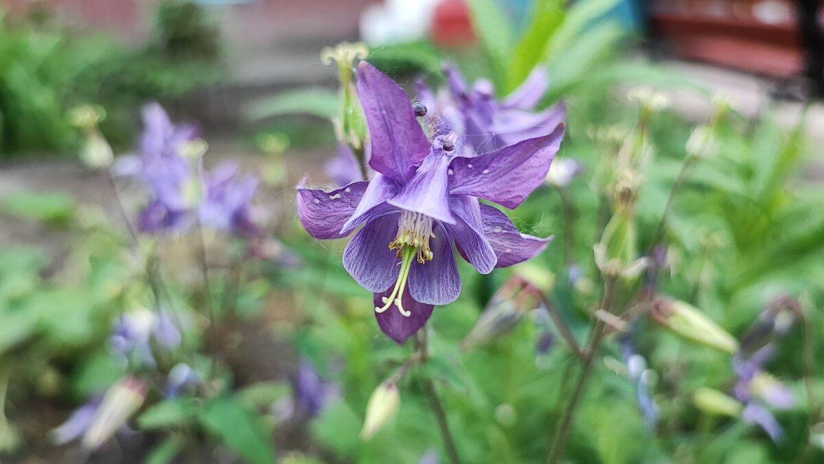 ,,, - Сергей Тимоновский