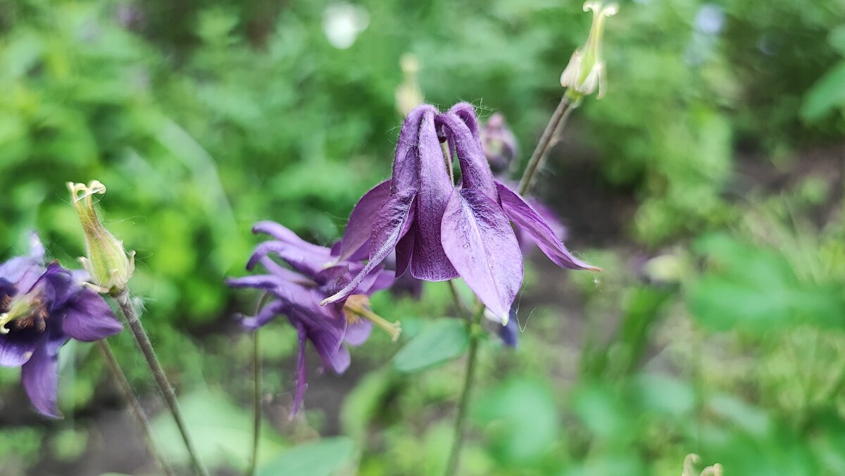 ,,, - Сергей Тимоновский