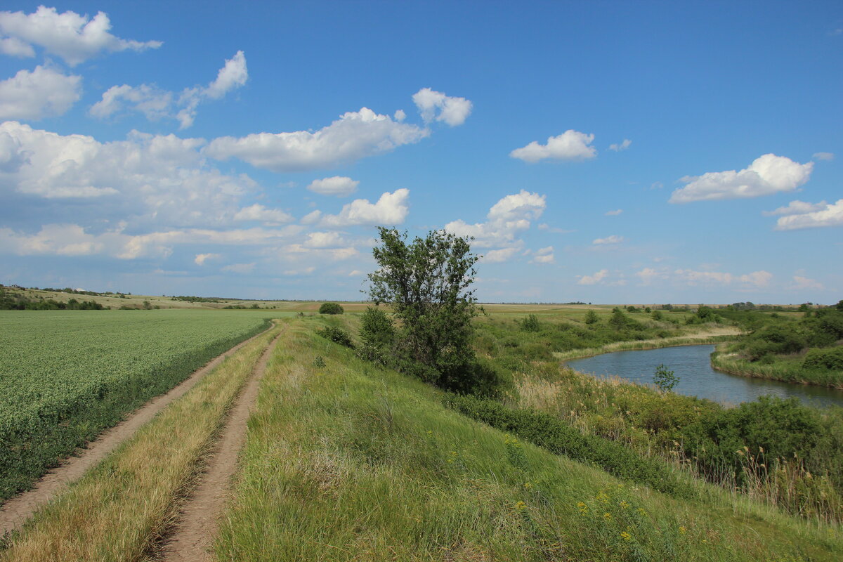 Мои дороги. - Виктор 