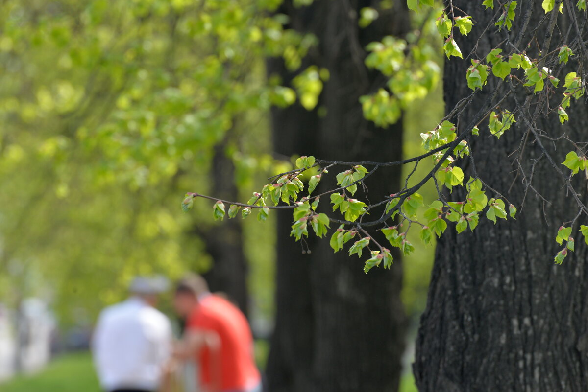 9 мая 2025 - Алексей Короткевич