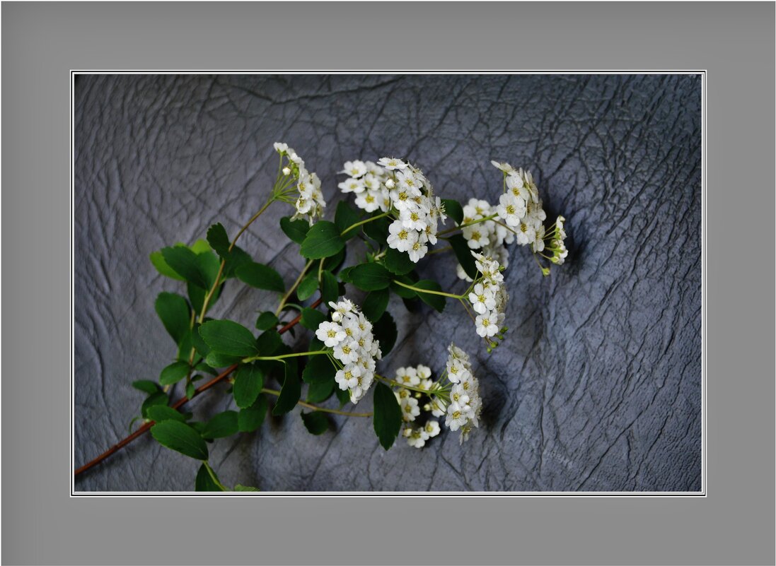 ЭТЮД... - Elvira E. ЭТЮД... - Elvira E.