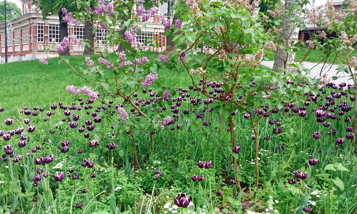 В парке - Galina Solovova В парке - Galina Solovova