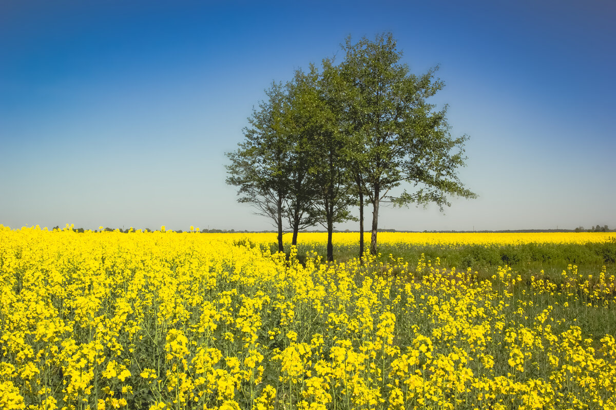 Красоты Беларуси - Аксана Shpakava