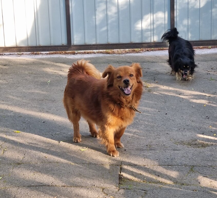 Радость :) - Наталья Радость :) - Наталья