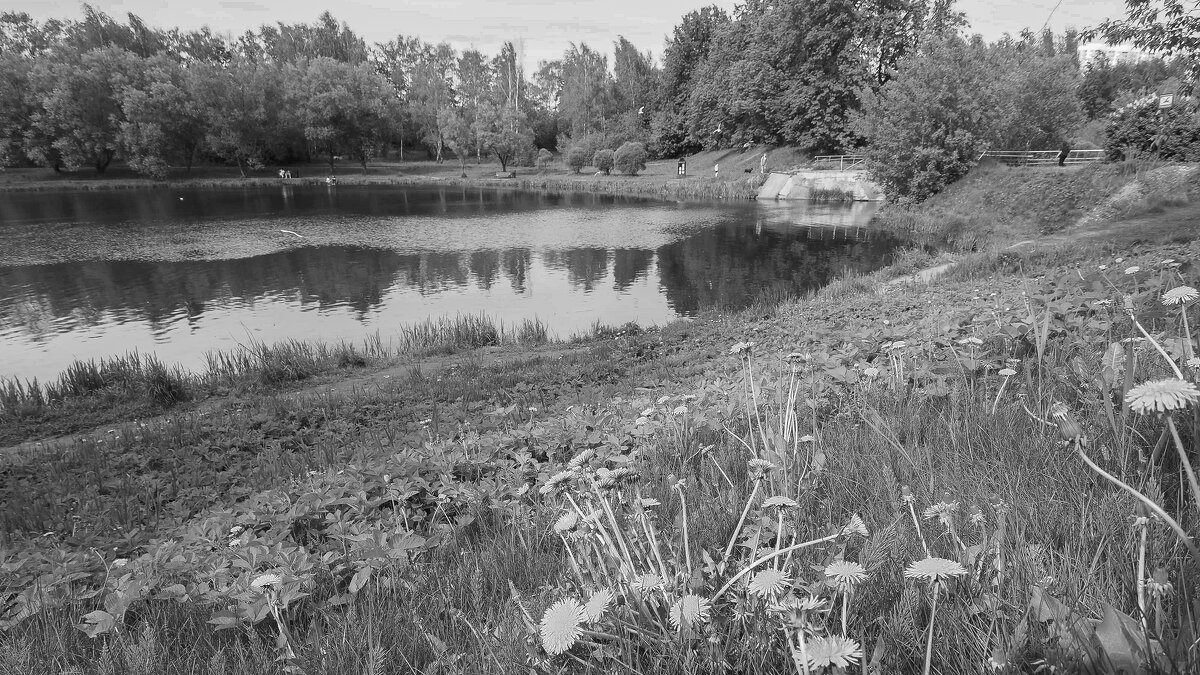 ***** - юрий поляков