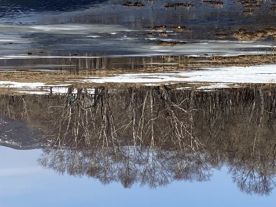 уже конец мая - Александр Белов уже конец мая - Александр Белов