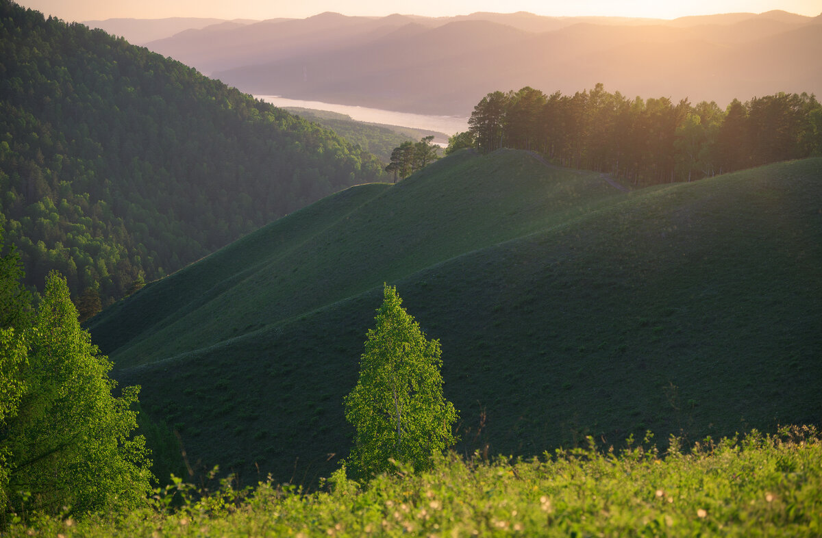 * - Александр Иванов