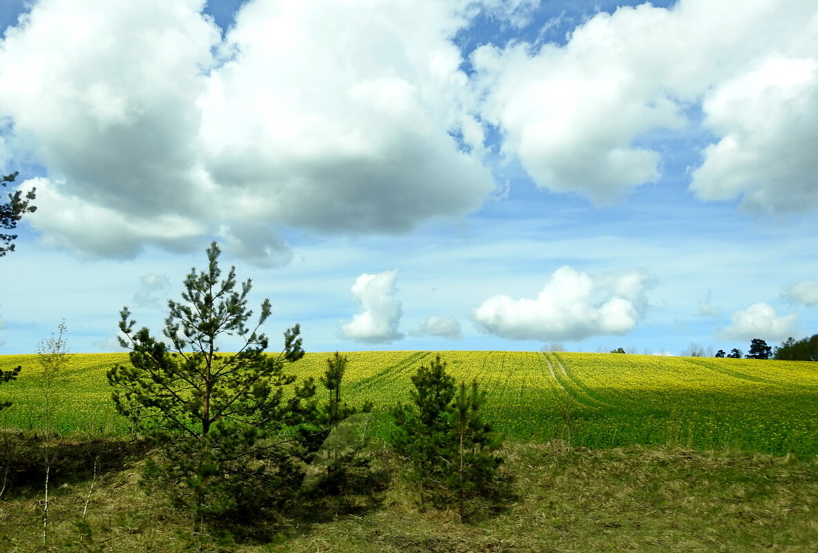весна - ИННА ПОРОХОВА