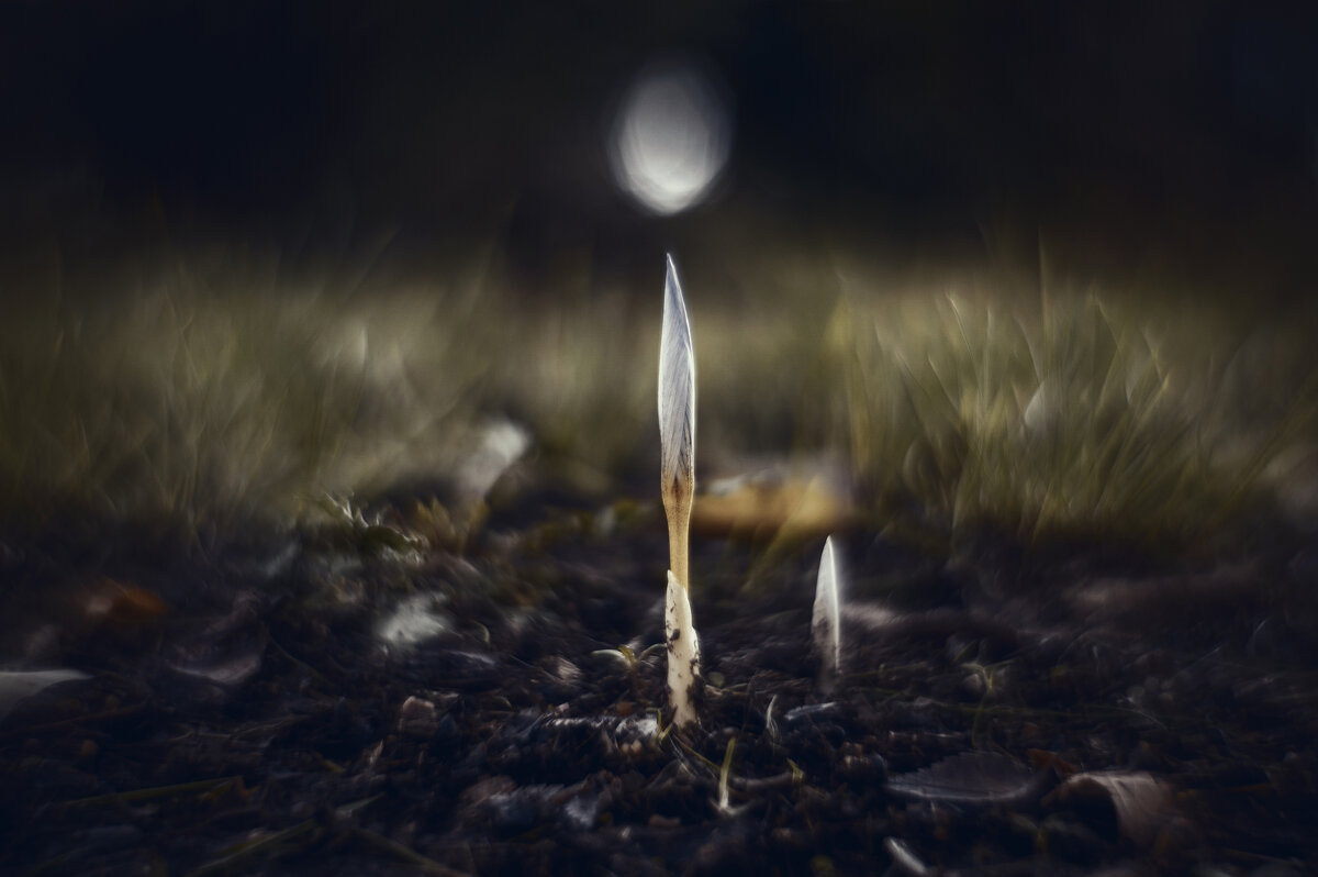 Осеннее таинство. - Анатолий Щербак Осеннее таинство. - Анатолий Щербак