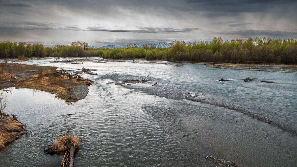 ... - Жора Житников ... - Жора Житников