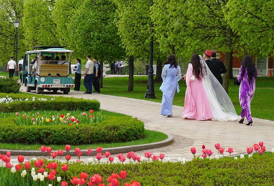 Весна в Царицыно - Ольга 