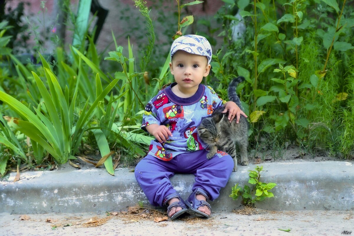 3829 - Alex . 3829 - Alex .