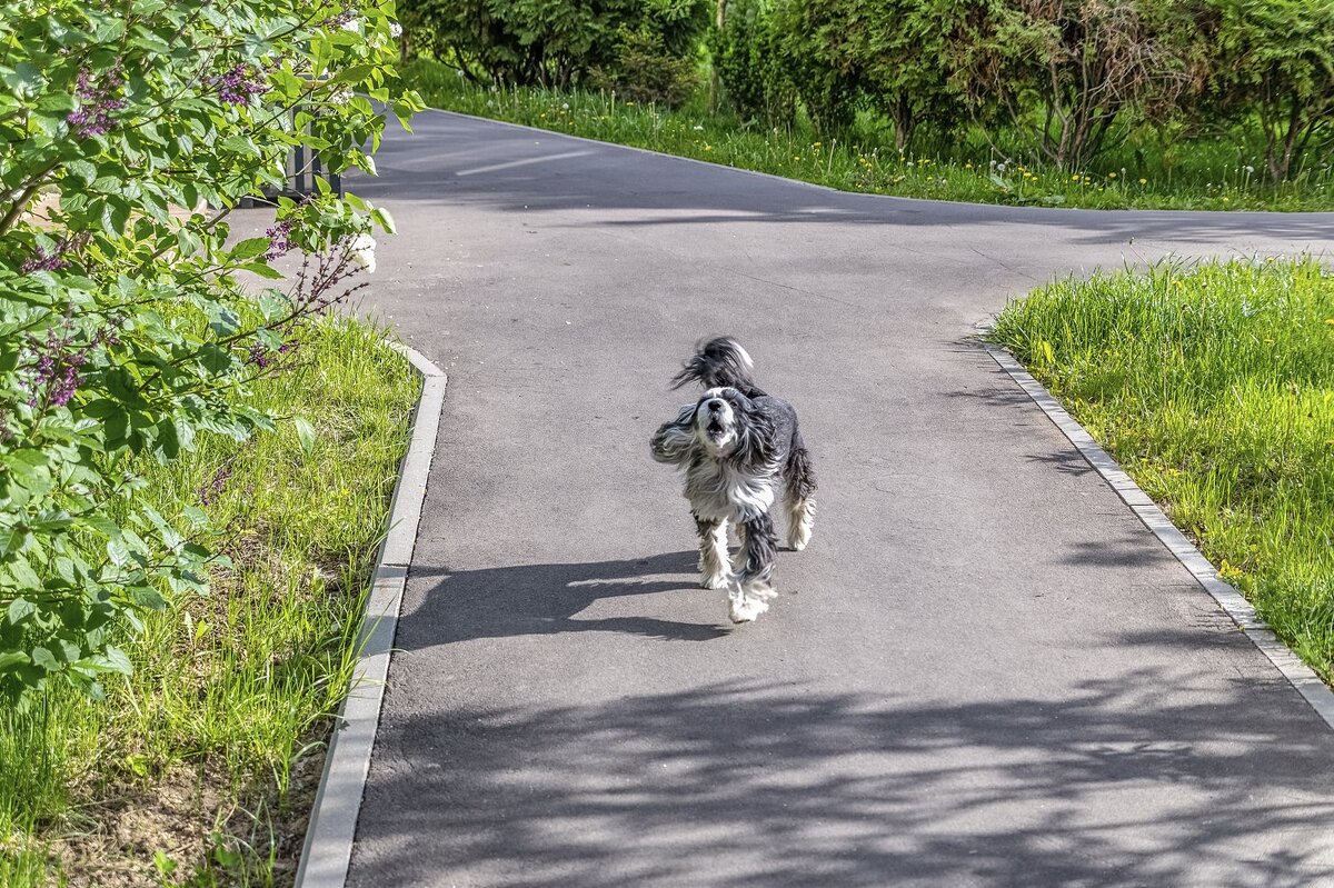 Чужие здесь не ходят - Валерий Иванович Чужие здесь не ходят - Валерий Иванович