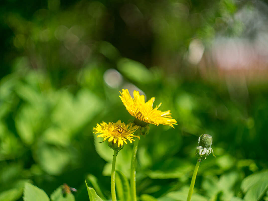 ___ - Yuriy V ___ - Yuriy V