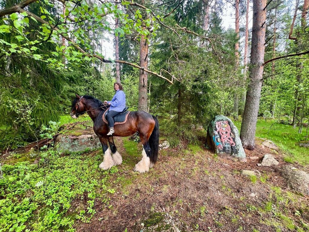 Конь-богатырь в сказочном лесу. - Ольга Конь-богатырь в сказочном лесу. - Ольга
