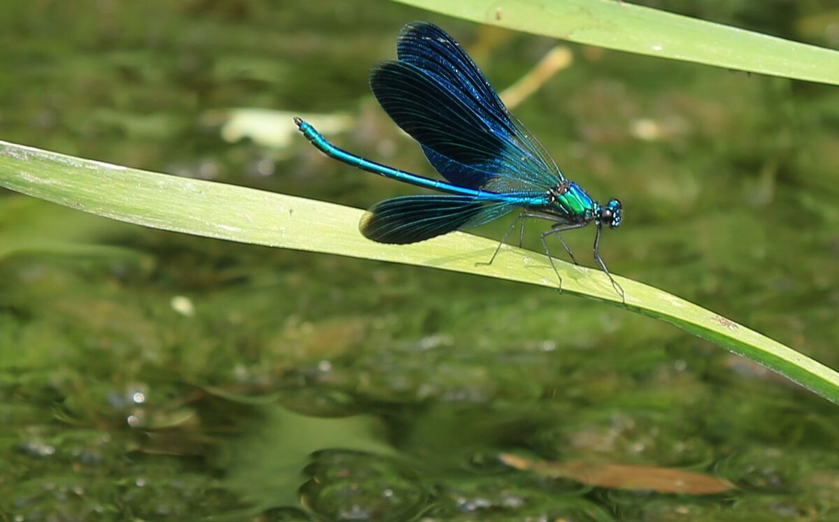 Красотка - ZNatasha - Красотка - ZNatasha -