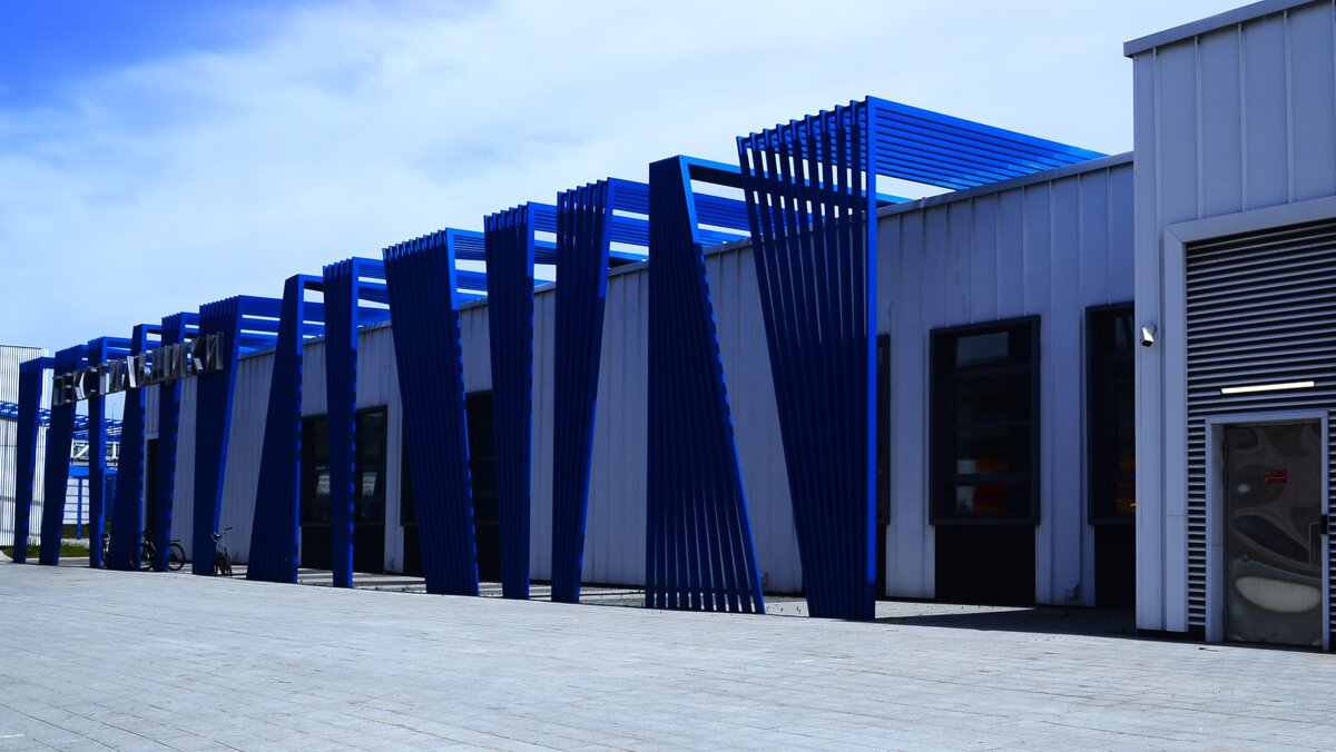 В синюю полоску. - Василий Палий